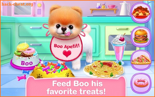 Boo - The World's Cutest Dog screenshot