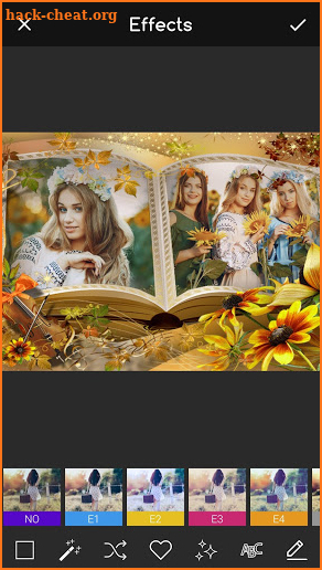 Book Dual Frames for Pictures screenshot