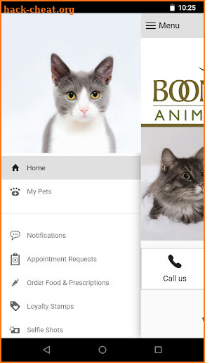 Boone's Creek Animal Hospital screenshot