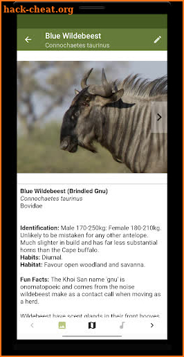 Botswana Wildlife Guide screenshot