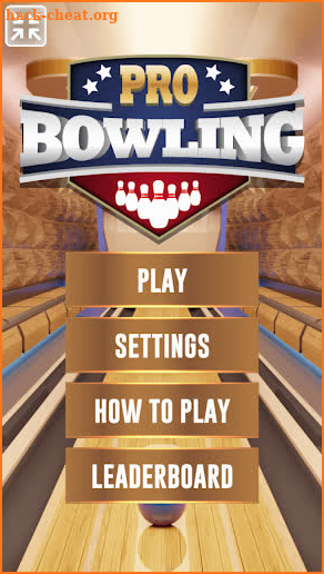 Bowling 3D Pro Game screenshot
