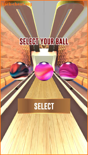 Bowling 3D Pro Game screenshot