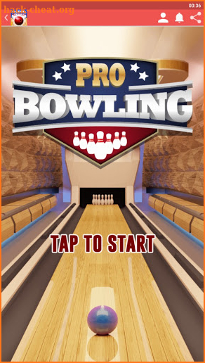 Bowling Play screenshot