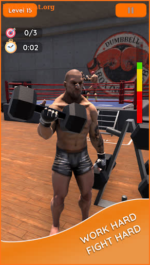 Boxer Mania screenshot