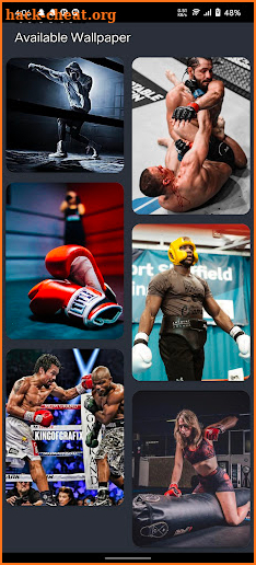 Boxing hd Wallpapers screenshot