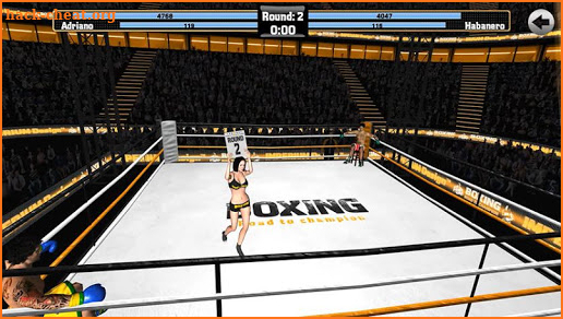 Boxing - Road To Champion Pro screenshot