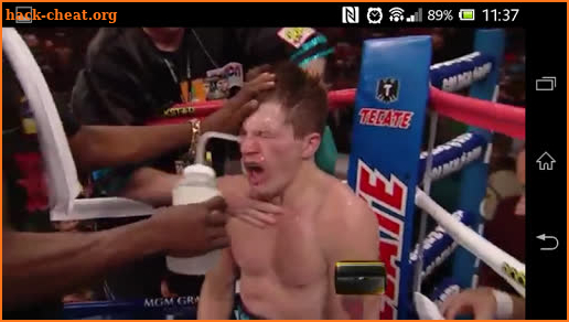 Boxing Videos screenshot