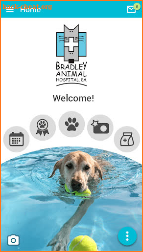 Bradley Animal Hospital screenshot