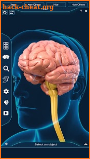 Brain Anatomy Pro. screenshot