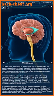 Brain Anatomy Pro. screenshot