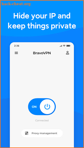 Bravo VPN screenshot
