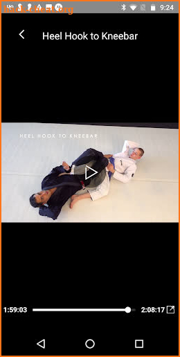 Brazilian Jiu Jitsu Blue Belt Requirements 2.0 screenshot