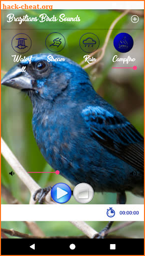 Brazilian's birds sounds screenshot