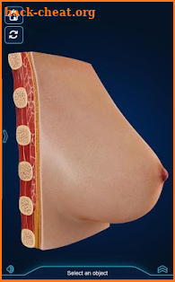Breast Anatomy Pro. screenshot