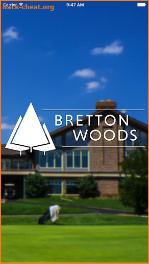 Bretton Woods screenshot