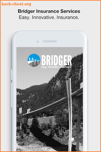 Bridger Insurance Services screenshot