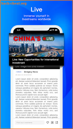 Bridging News screenshot