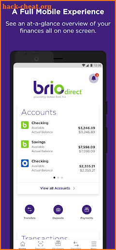 BrioDirect screenshot