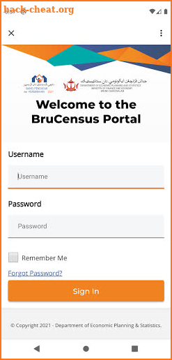 BruCensus screenshot