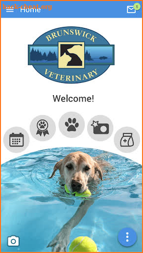 Brunswick Veterinary Clinic screenshot