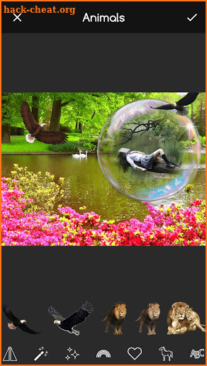 Bubble Frames for Pictures screenshot
