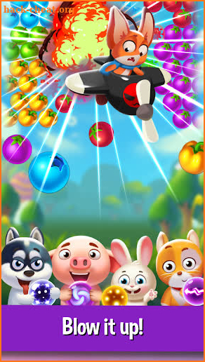 Bubble Fruit: Pet Bubble Shooter Games screenshot