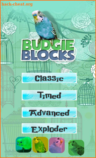 Budgie Blocks screenshot