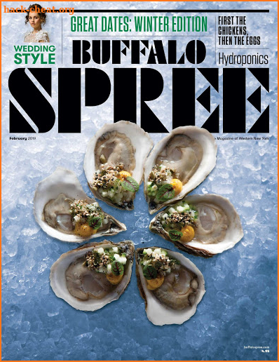 Buffalo Spree Magazine screenshot