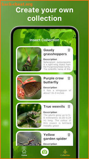 Bug Identifier Bug Finder screenshot