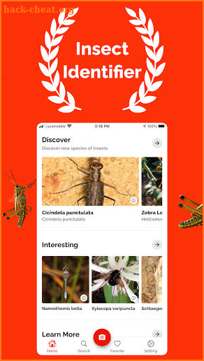 Bug Identifier - Insect identification screenshot