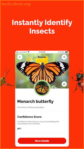 Bug Identifier - Insect identification screenshot