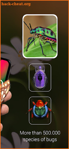 Bug Identifier, Picture Insect screenshot