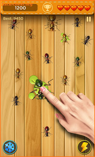 Bug Smasher Best Cool And Fun Game screenshot