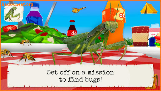 Bugs & Insects (Full version) screenshot