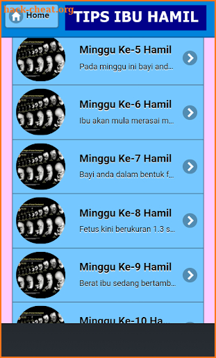 Buku Panduan Tips Ibu Hamil Sehat dan Benar screenshot