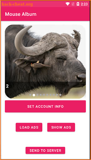 Bull Album screenshot