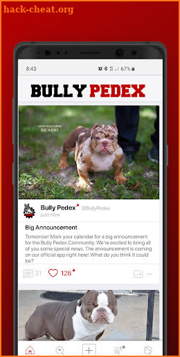 Bully Pedex Bully Board screenshot