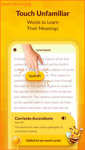 Bumble Bee - Learn English screenshot