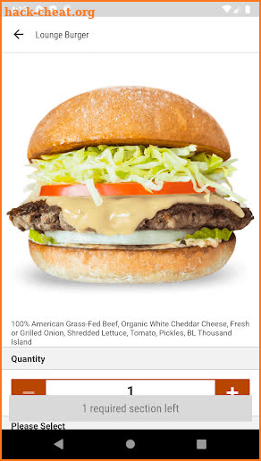 Burger Lounge screenshot