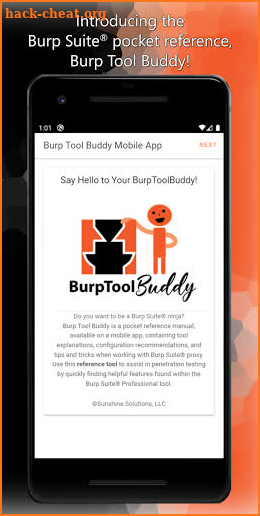 Burp Tool Buddy screenshot