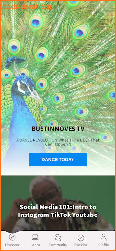 BustinMoves TV screenshot