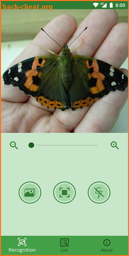 Butterflies: Identification, Information Lookup screenshot