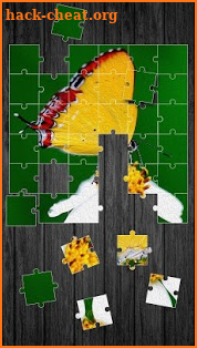 Butterfly Jigsaw Puzzle screenshot