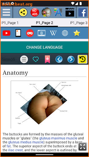 Buttocks Anatomy screenshot
