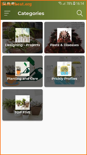 Cactus and Succulent Plants screenshot