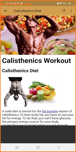 calisthenics workout - beginners guide screenshot