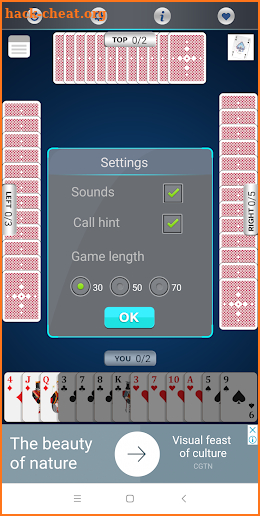 CALL-BRIDGE Cards game screenshot