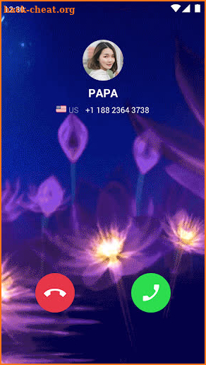 Call Screen Show screenshot