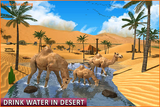 Camel Family Life Simulator screenshot