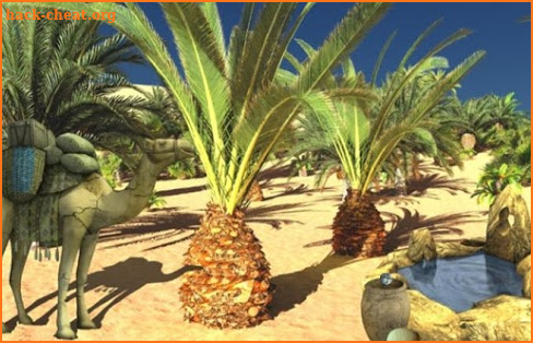 Can You Escape The Oasis screenshot